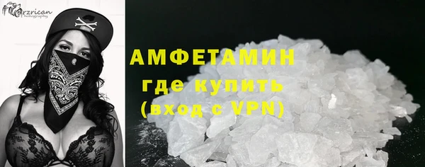 метадон Богданович