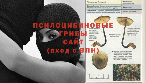 мяу мяу кристалл Нягань