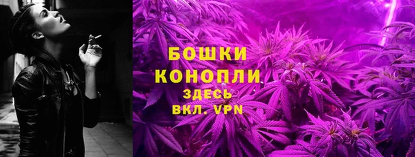 метадон Богданович