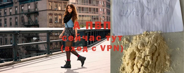 метадон Богданович
