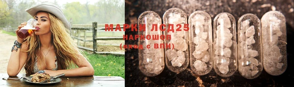 метадон Богданович