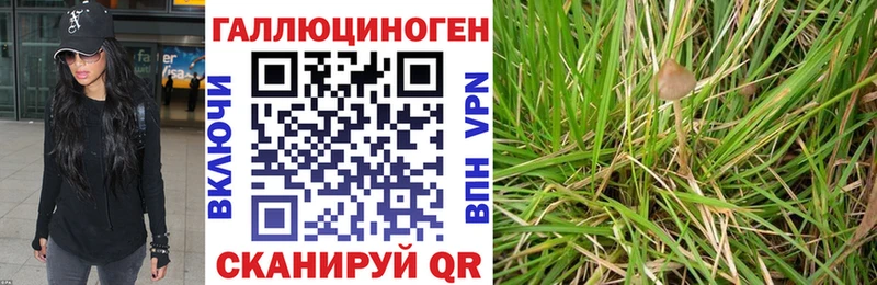 Галлюциногенные грибы мицелий  где продают наркотики  Севск 